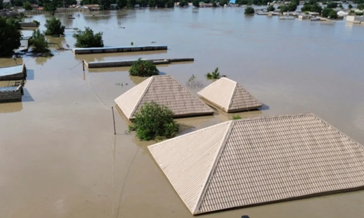 Maiduguri Flood: NEMA, military, others intensify rescue operations, as dozens remain trapped