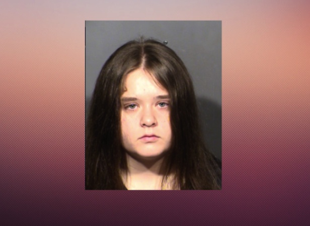 Teenage girl pleads guilty to killing man in strip hotel room, faces 11 ...