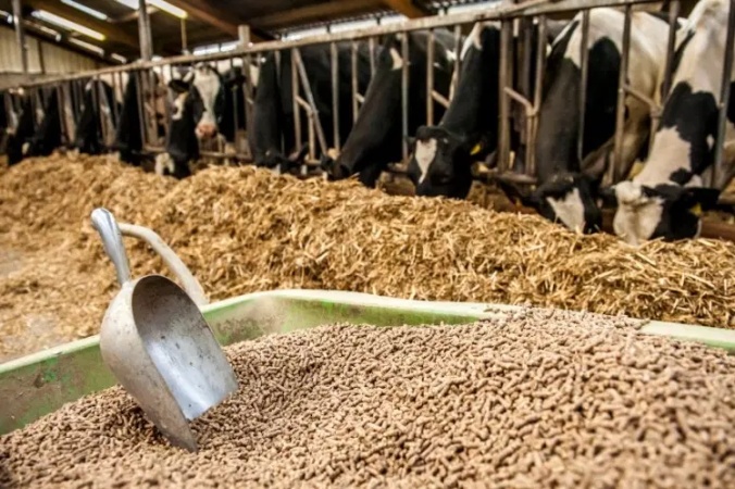 Hardship: Animal feed now delicacy to some families