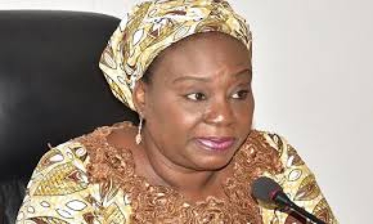 Professional, license certification not compulsory for civil, public service ? Yemi-Esan