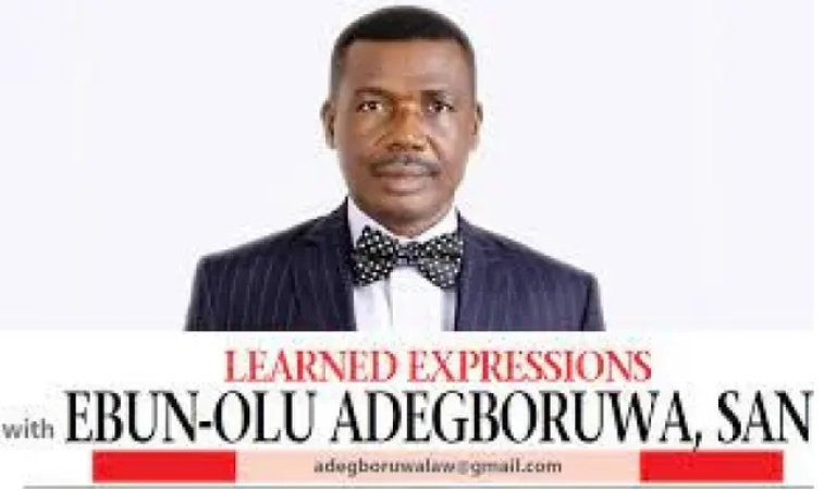 Kekere-Ekun CJN: In her shoes (2)