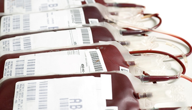 Court condemns blood transfusions for Jehovah?s Witnesses, orders payment of damages