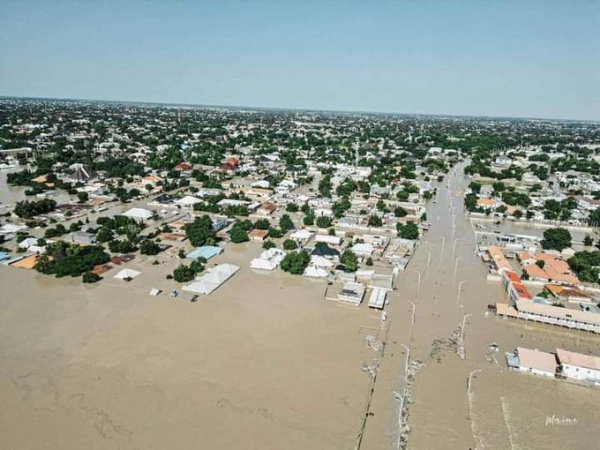 Borno flood: Maiduguri faces growing health crisis