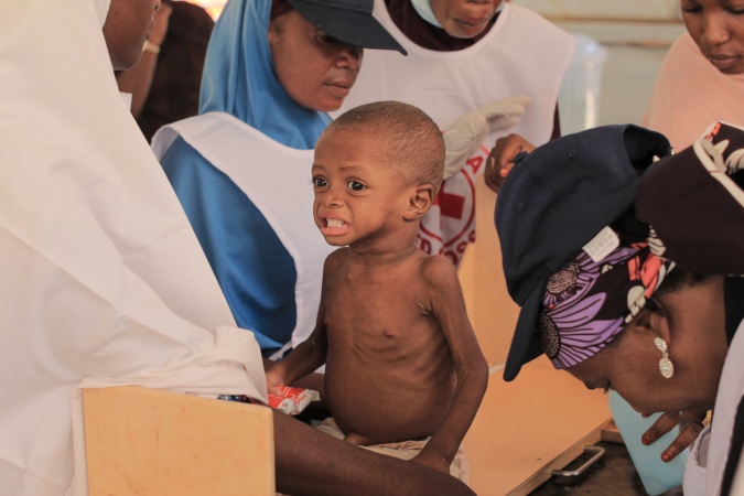 Nigerian Red Cross Society battles food insecurity, launches N2.5b fundraiser