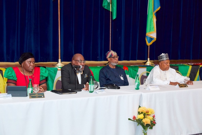 Tinubu: Africa?s role as raw minerals supplier solidifying its misery