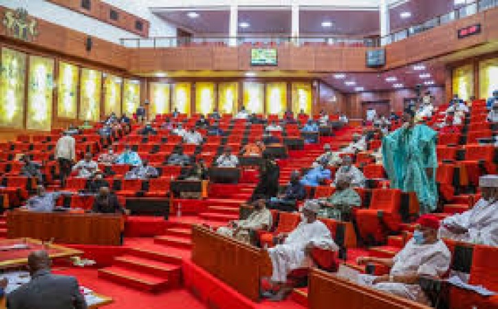 Senate passes bill on establishment of South West Development Commission