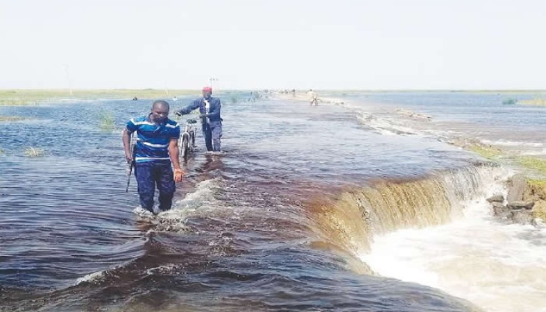 Flood damages Borno-Chad-Cameron link bridge, police urge alternative route