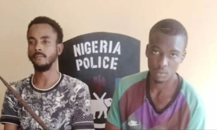 Two university students arrested for stealing TV, prayer mat