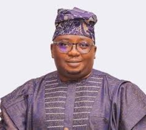 Over 40 per cent of Nigerians now enjoy 20 hours of electricity supply ? Power Minister