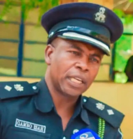 Dismissed accountant arrested over murder of emir?s wives, children