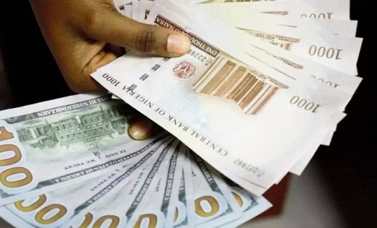 Diaspora remittances can help Nigeria address FX crisis, says MAN DG