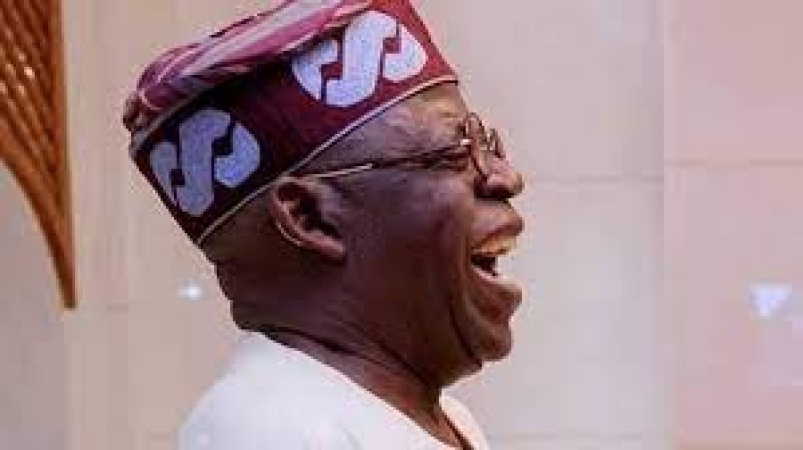 President Tinubu?s health reforms: The outcomes, By Fredrick Nwabufo