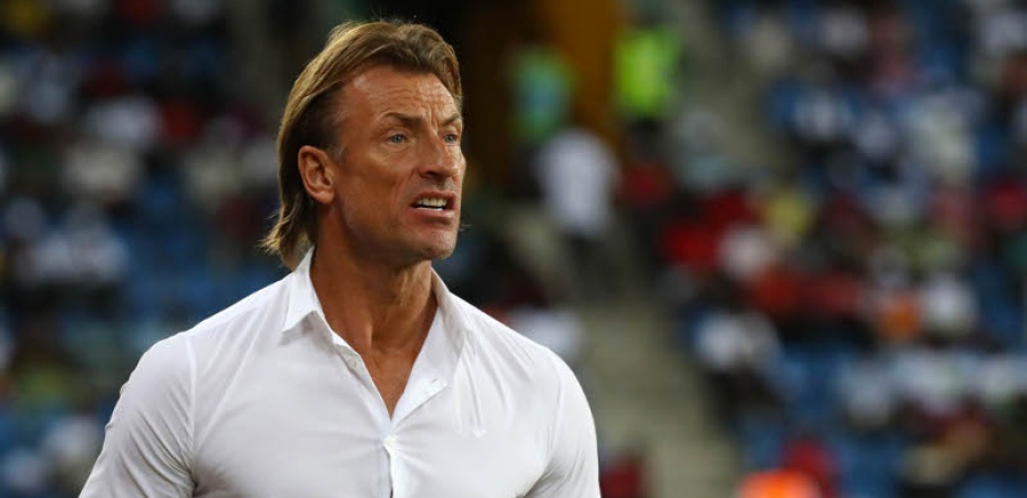 Why I rejected Super Eagles job ? Herve Renard