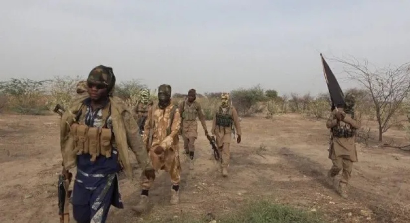 ISWAP militants attack Geidam, burn vehicles, kill night watchman