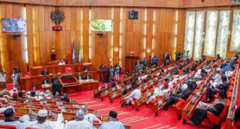 Senate in rowdy session over LG autonomy