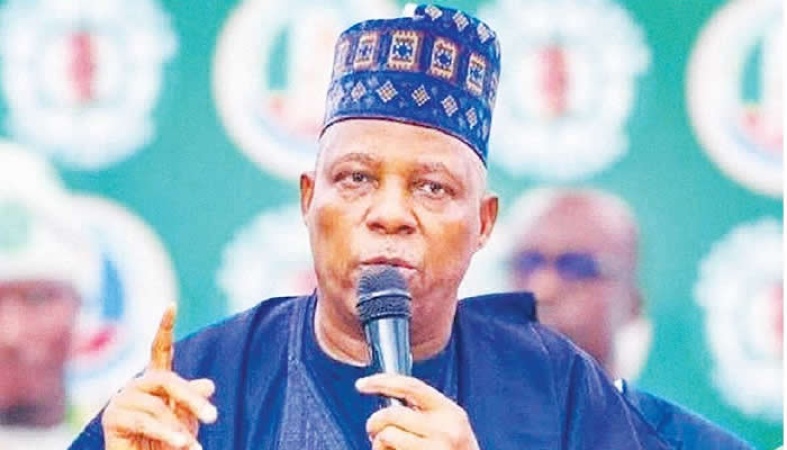 Out-of- school children: A threat to Nigeria?s future ? Shettima