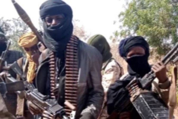 Bandits appoint, depose village heads in my communities ? Sokoto LG chair