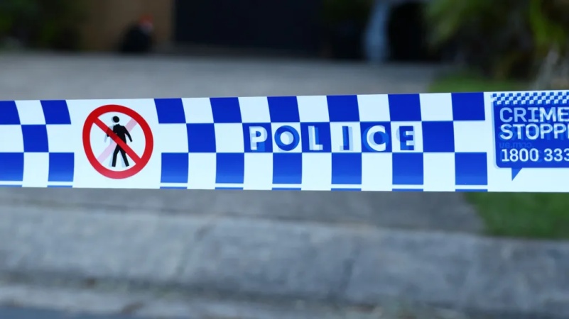Woman battles for life as arm bitten off in dog attack
