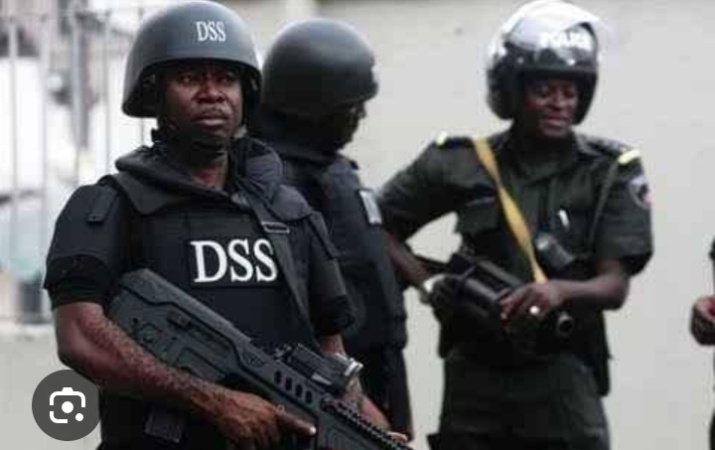 DSS releases journalist arrested over purported moves to impeach Akpabio
