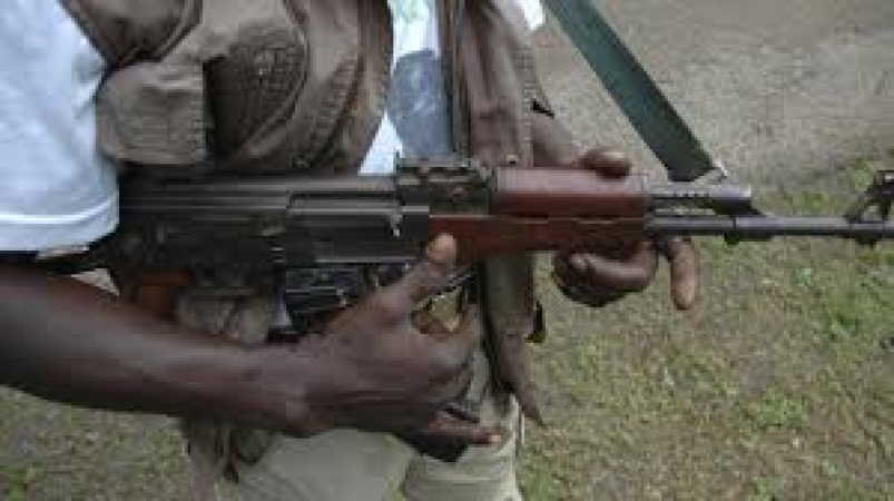 Police launch manhunt as daring kidnappers kill, maim officers