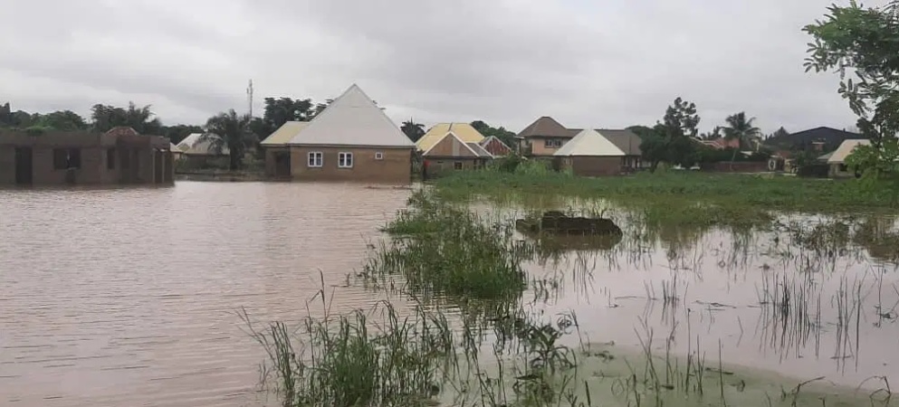 Surging River Benue displaces Makurdi residents, submerges houses, farmlands 