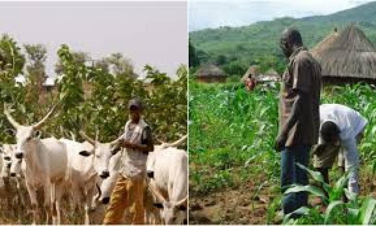Five die in Adamawa herders, farmers? clash