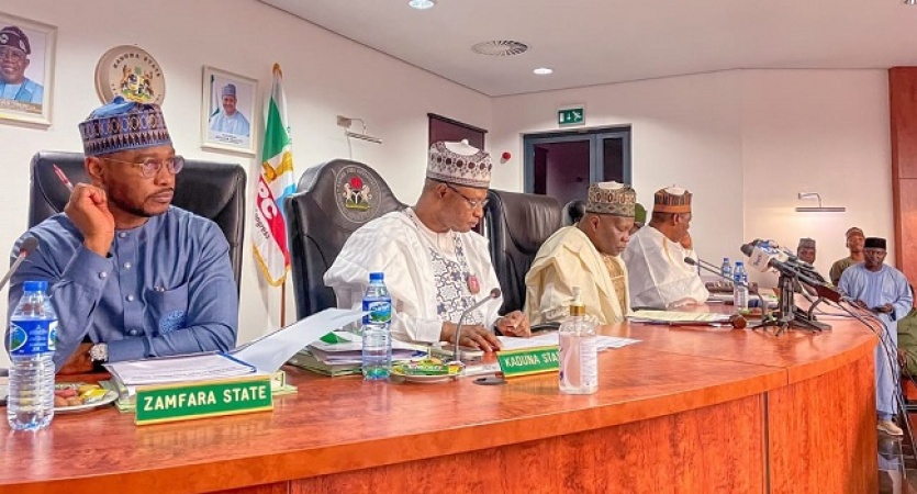 Northern govs, emirs reject tax reform bill