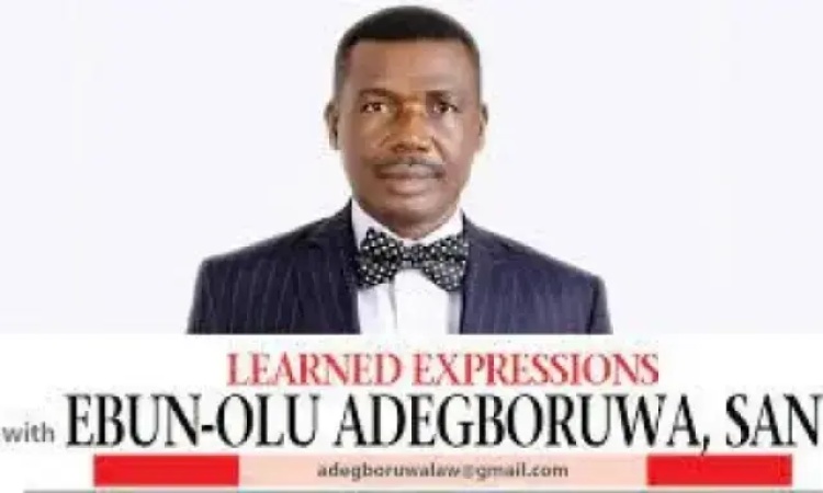 Public Interest Litigation In Nigeria: Challenges and Opportunities (4)