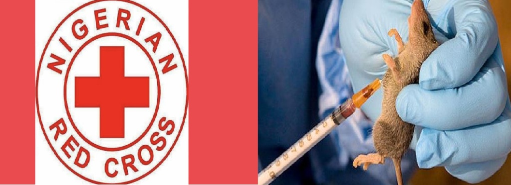 Red Cross raises alarm over Lassa Fever spread in Nigeria