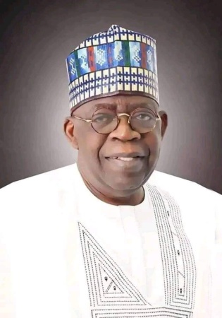 Six key provisions in Tinubu?s proposed tax bill