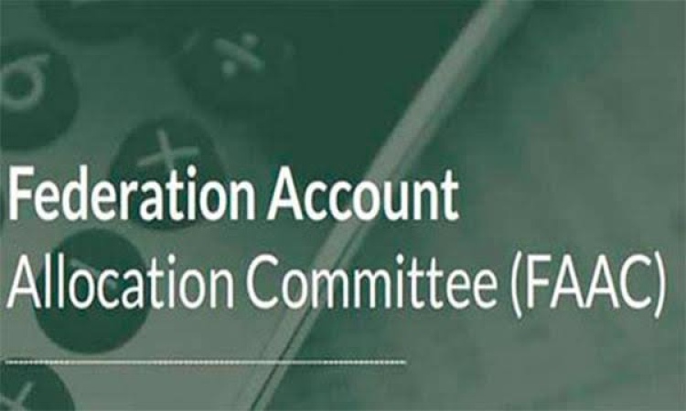 32 states relied on FAAC allocations for 55 per cent revenue in 2023 ? Report