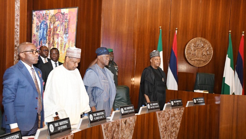 NEC orders audit of Nigeria?s waterways, dams amid flooding