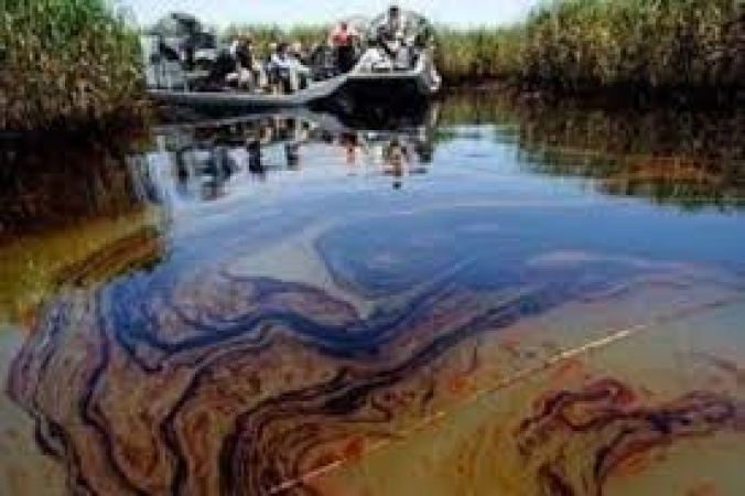 Oil and gas exploration: Report raises the alarm over ?environmental genocide? in Niger Delta
