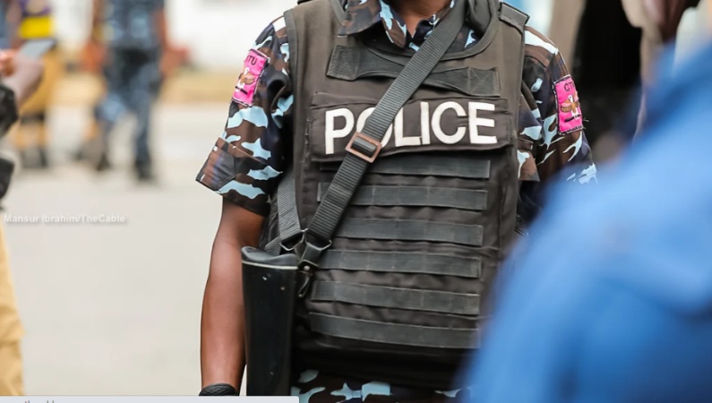 Police arrest 17 Nigerians, 113 foreigners for cybercrimes, hacking
