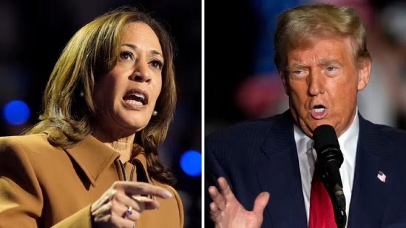2024 US election: Eight factors that may decide Kamala Harris, Trump?s fate