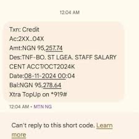 Borno: Primary school teachers celebrate as N70k minimum wage hits accounts 