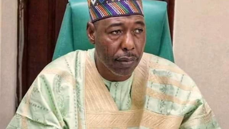Foreign NGOs scale down operations in Borno, shift to North West