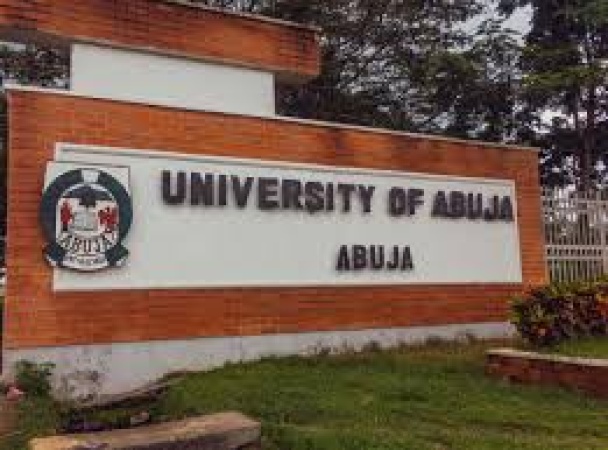 UniAbuja: How not to select a Vice-Chancellor