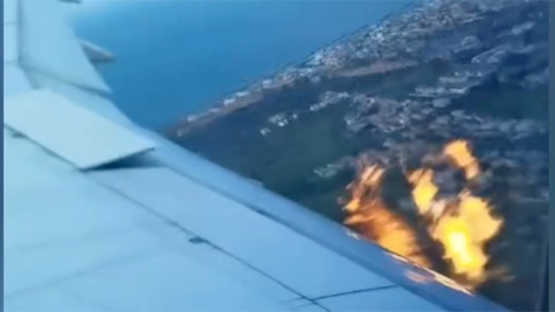 Plane with over 250 passengers catches fire mid-air after bird strike