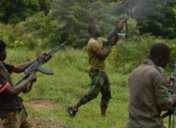 Bandits set farms on fire in Kaduna, destroy harvested maize