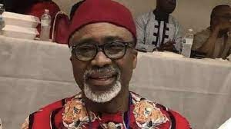 Tinubu didn?t get NASS approval to buy presidential jet ? Abaribe