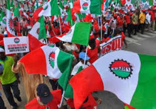 Minimum wage: FCT workers begin indefinite strike today