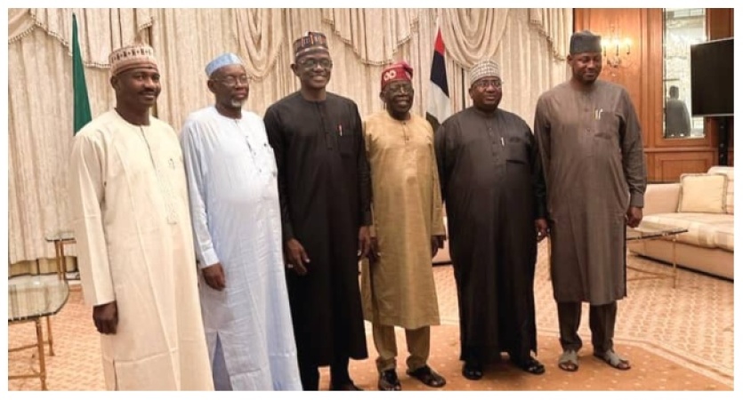 Why Northern Govs asked Tinubu to stop tax reform bills ? Zulum
