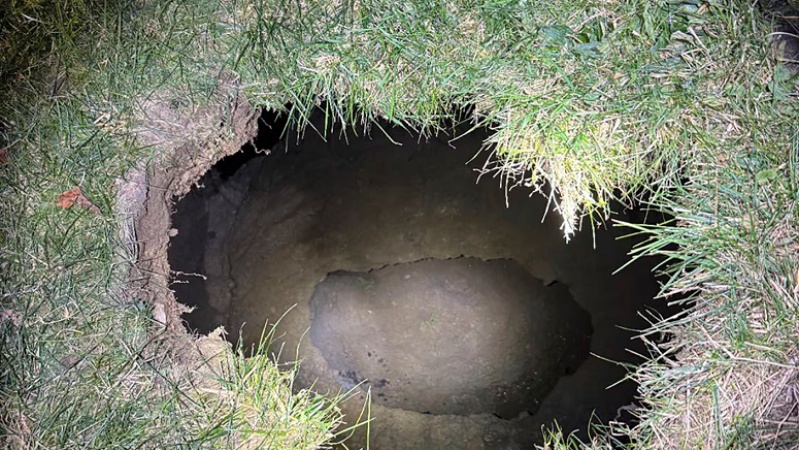 Woman looking for her pet cat disappears, feared to have fallen into sinkhole
