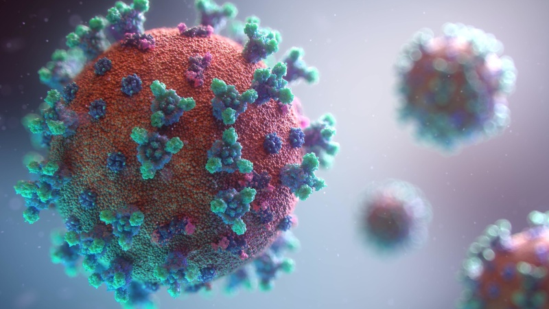 FG warns of new COVID-19 variant XEC confirmed in 29 countries