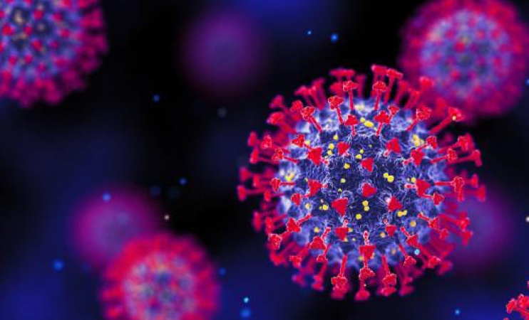 COVID-19: What Nigerians need to know about XEC strain