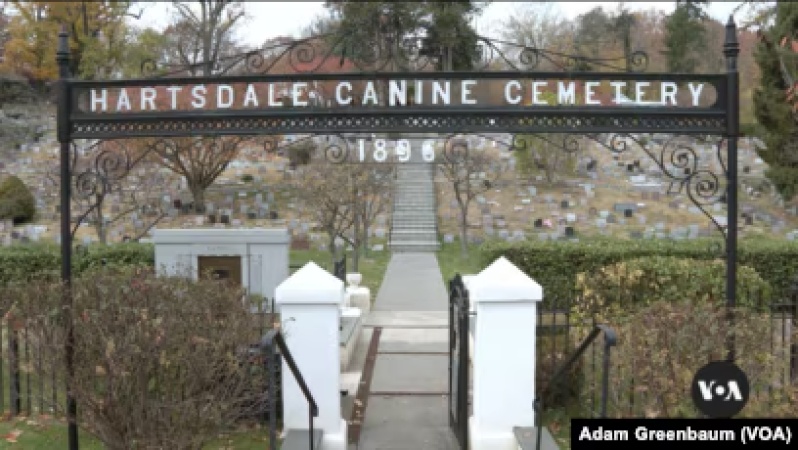 SPECIAL REPORT: Inside oldest US pet cemetery where Americans bury their dead dogs, others