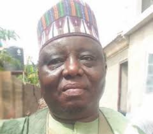 Governors overbearing influence won?t allow LG financial autonomy to work ? Dansudu