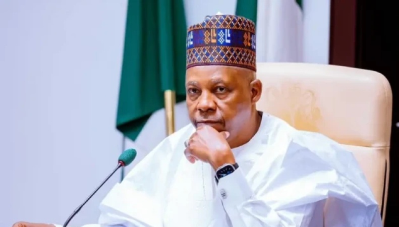 10,000 Nigerians detained for immigration offences in 2024 ? Shettima