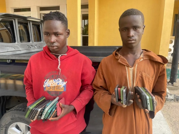 Police detain 2 suspects, recover 25 stolen phones in Borno